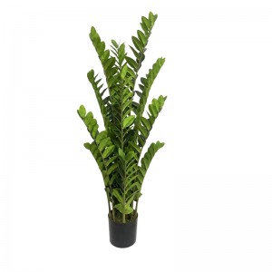 Crann saorga crann airgid